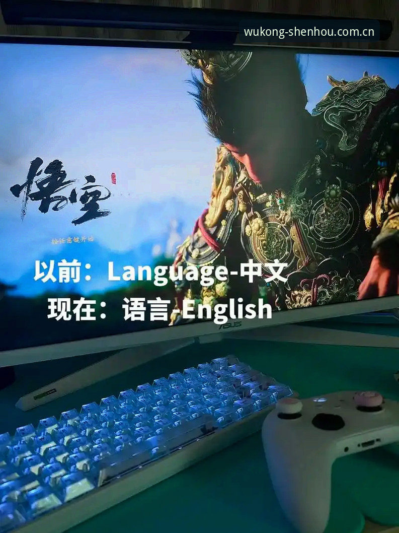 快速上手悟空体育直播数据查看的实用技巧